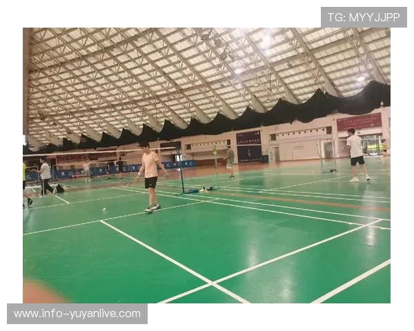 广州羽毛球队在钻石联赛中的战术表现分析与启示